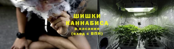 прущие грибы Аркадак