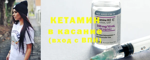 прущие грибы Аркадак