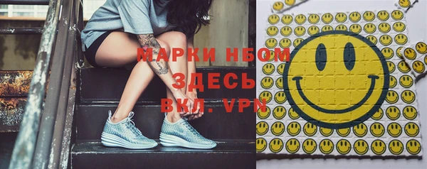 прущие грибы Аркадак