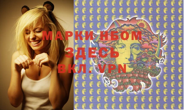 прущие грибы Аркадак